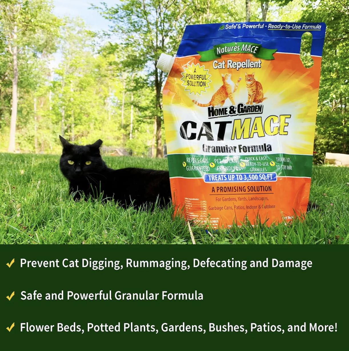 Cat MACE 6lb Granules - Effective Outdoor Cat Repellent for Yards, Gardens & Plants | No-Dig Deterrent & Training Tool | Safe for People, Pets & Landscaping | Perfect for Protecting Flower Beds, Lawns & Vegetable Gardens