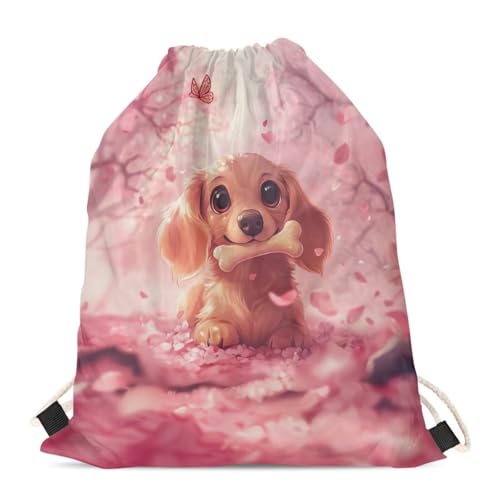 Corgi Dog Cherry Blossom