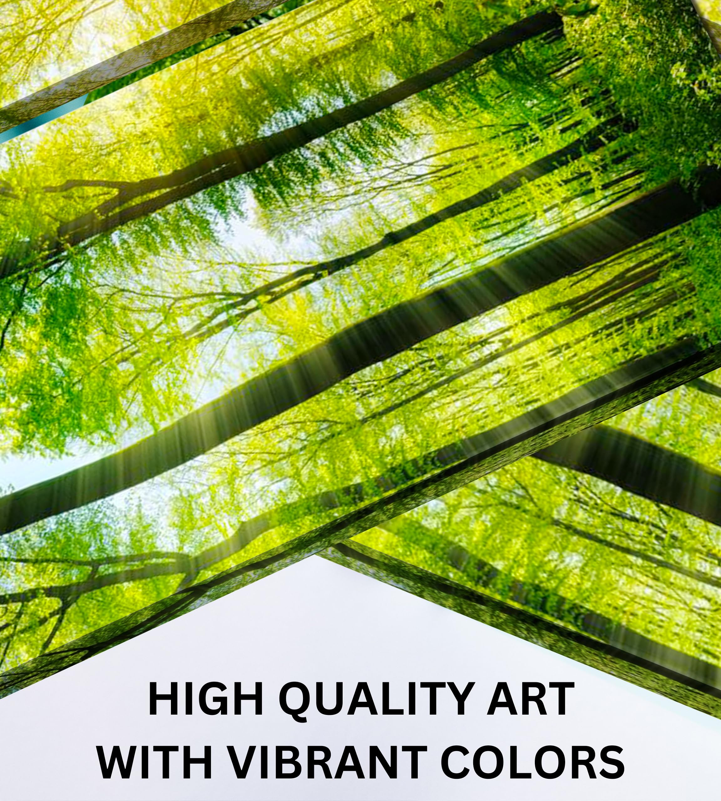 Forest Canvas Wall Art Decor - 24x24 Inch Tree Landscape Picture - 2 Piece Set, Modern Multi Panel Split Prints for Living Room, Kitchen, Bedroom, Office & Home Decor Gift - Perfect for Nature Lovers & Wall Decoration