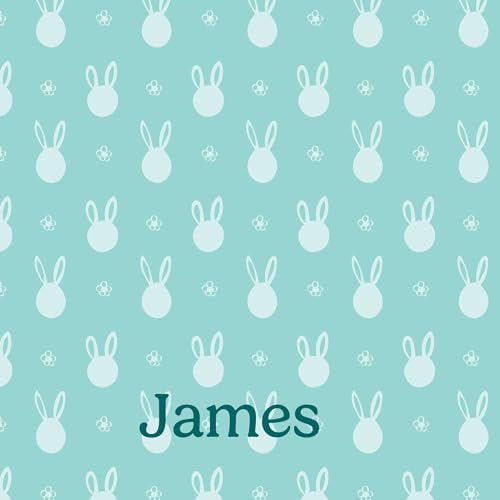 Bunny Faces - Aqua
