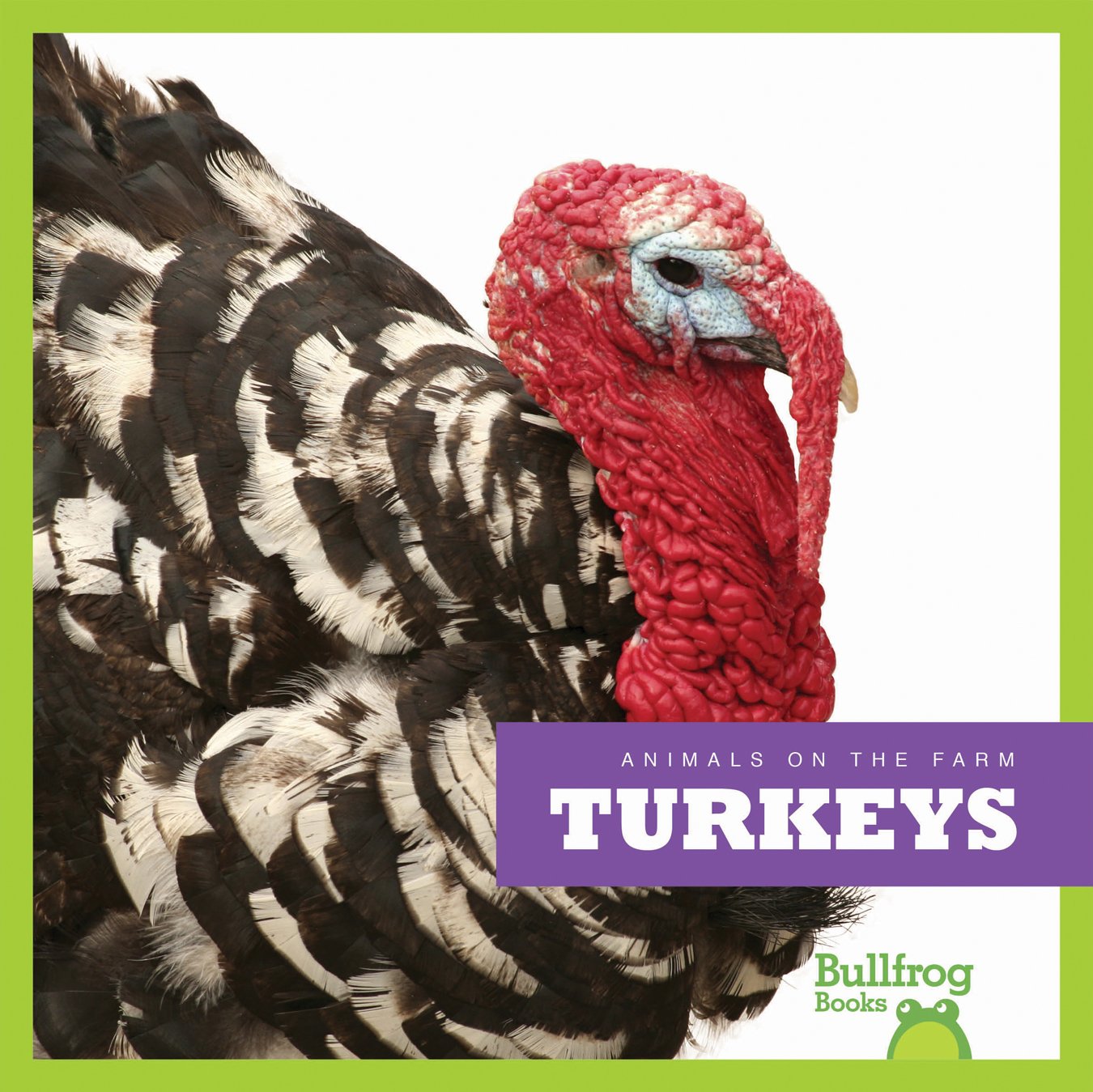 Bullfrog Books: Farm Animals - Turkeys | Educational Children's Book About Farm Life | Perfect for Classroom Learning & Homeschooling Activities