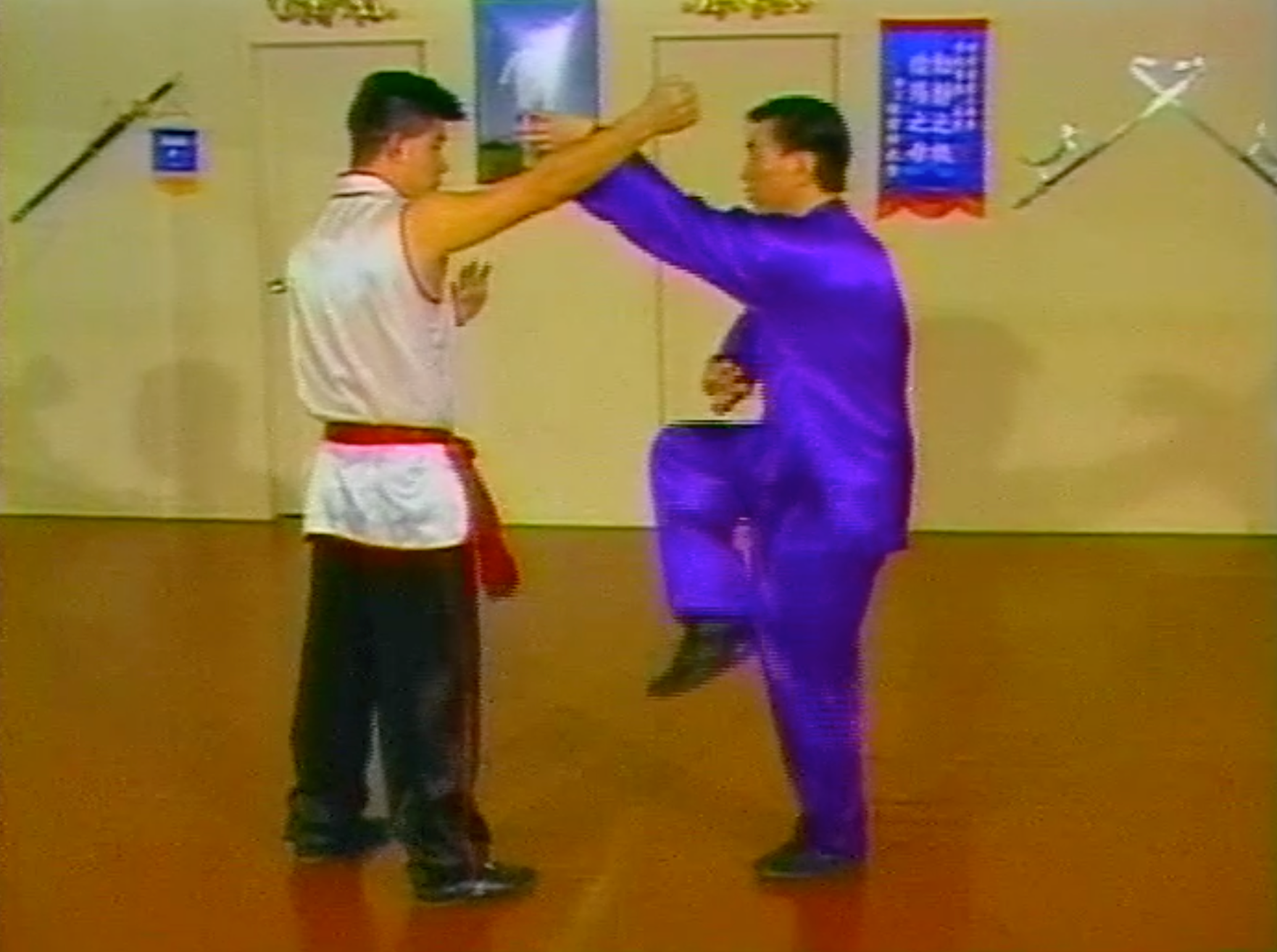 Choy Li Fut Kung Fu 8 DVD Set with Doc Fai Wong - Authentic Chinese Martial Arts Training Videos | Learn Self-Defense Techniques at Home