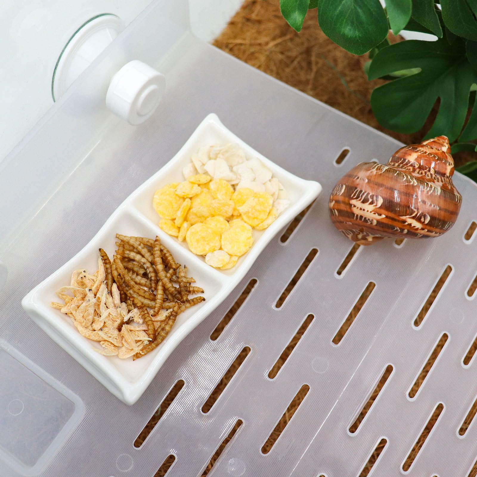 3 Pcs Hermit Crab Ceramic Food & Water Bowls - Mini Feeding Dish Set for Hermit Crabs, Tarantulas, Snails - Perfect for Reptile Terrariums and Small Pet Habitats