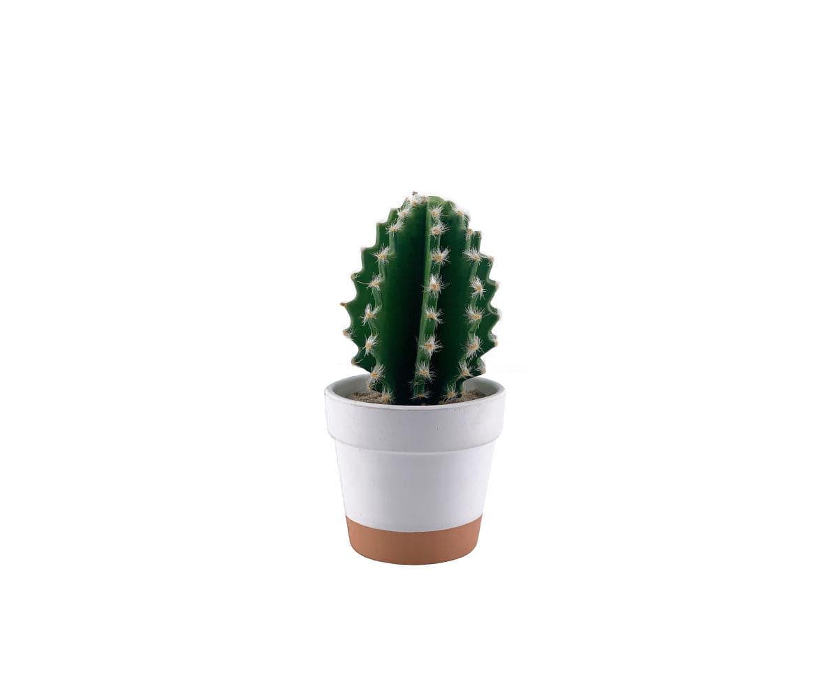 Faux Miniature Barrel Cactus - Artificial Small Cactus Decor for Home, Office, and Party - Perfect for Desert-Themed Decorations and Succulent Arrangements