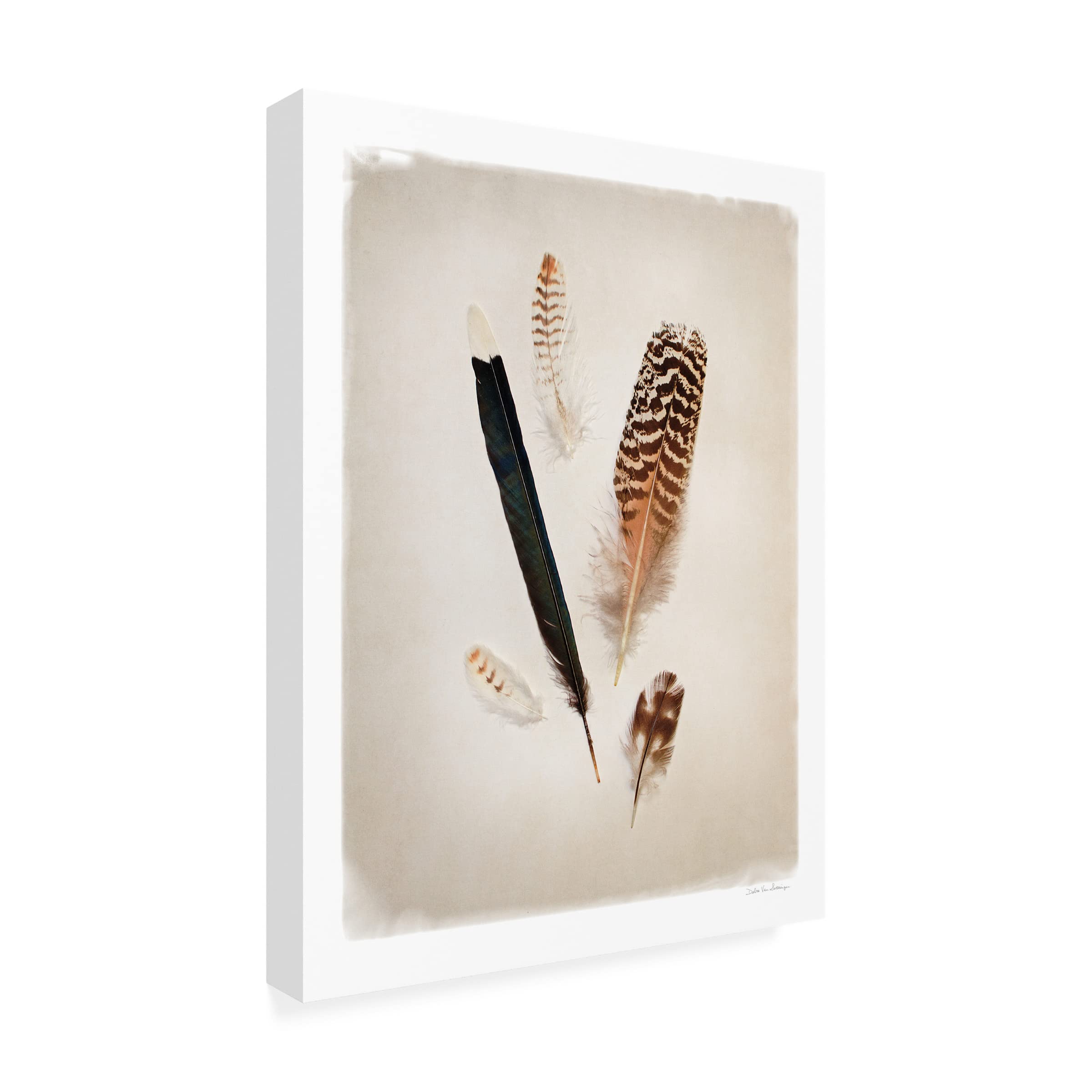 Debra Van Swearingen 'Feather Group II' Canvas Wall Art Print - Modern Home Decor for Living Room, Bedroom & Office