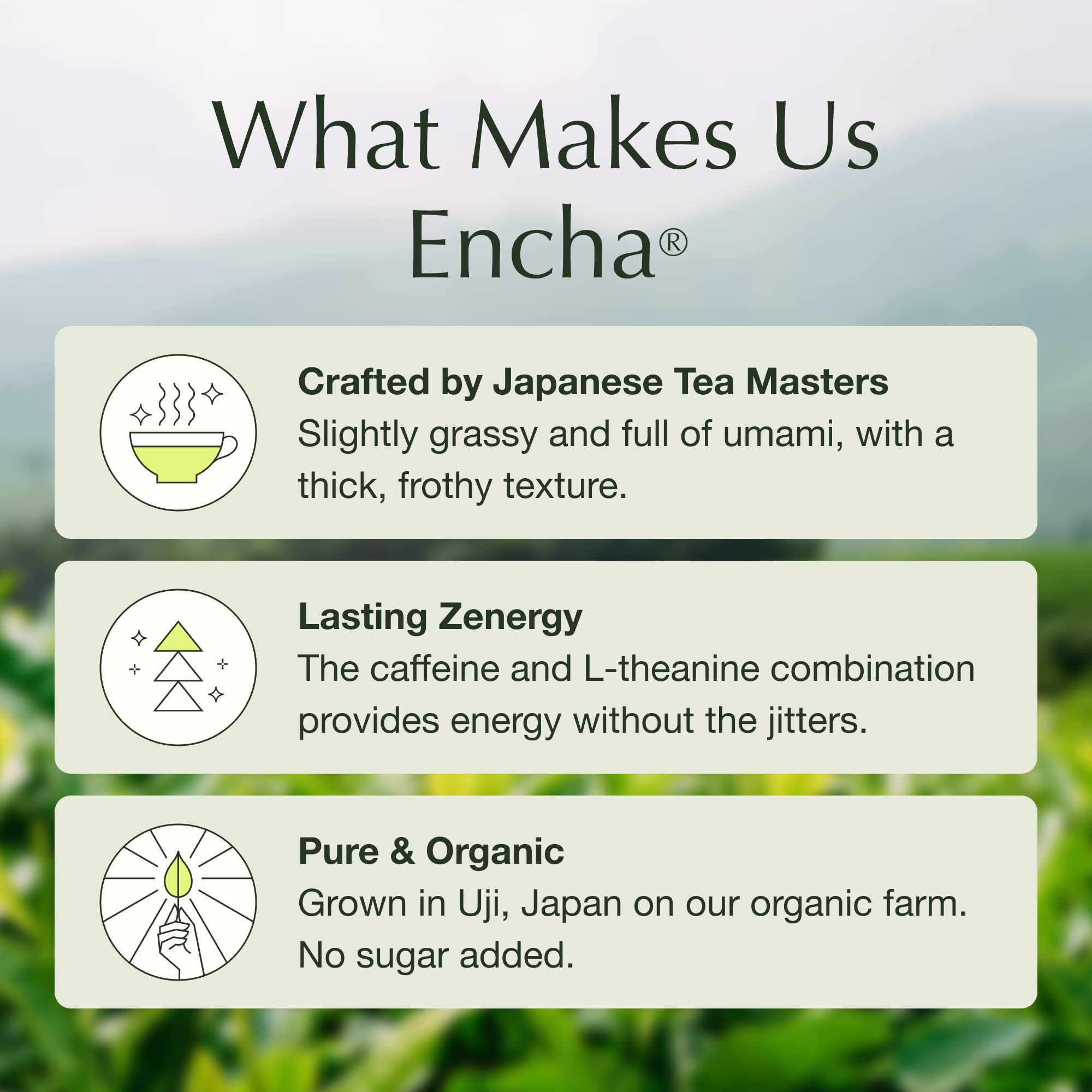 Encha Latte Grade Matcha - First Harvest Organic Unsweetened Green Tea Powder from Uji, Japan (500g / 1lb) | Premium Ceremonial Grade for Lattes, Smoothies, Baking & Tea | Rich in Antioxidants, Caffeine & L-Theanine | Energy Boost & Relaxation