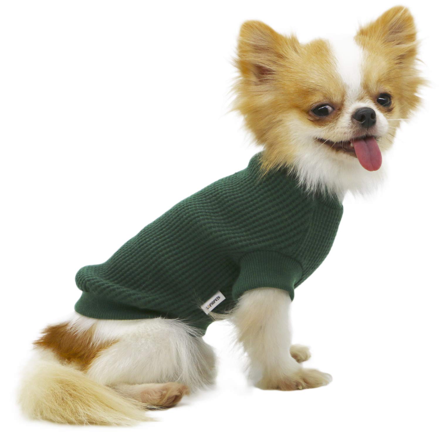 LOPHIPETS Lightweight Dog Sweaters for Small Dogs - Puppy Chihuahua Yorkie Clothes, Soft & Comfortable Pet Apparel in Atrovirens Green, Size XL - Perfect for Winter Walks & Indoor Coziness
