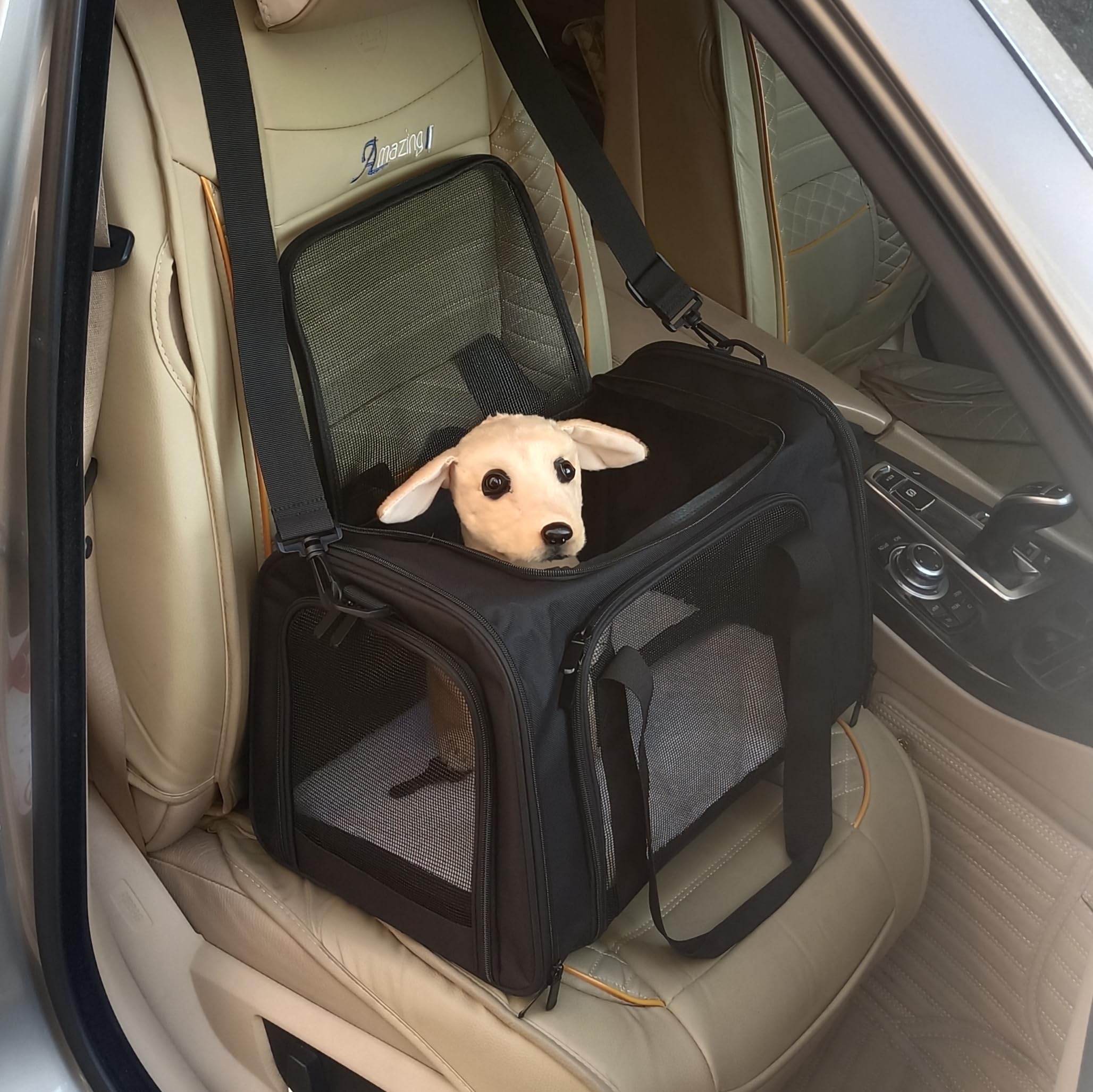 **Airline Approved Collapsible Pet Carrier for Small & Medium Cats & Dogs up to 15 lbs - Soft-Sided Travel Cat Bag & Dog Carrier (Medium, Black) - Perfect for Air Travel, Vet Visits & Road Trips**