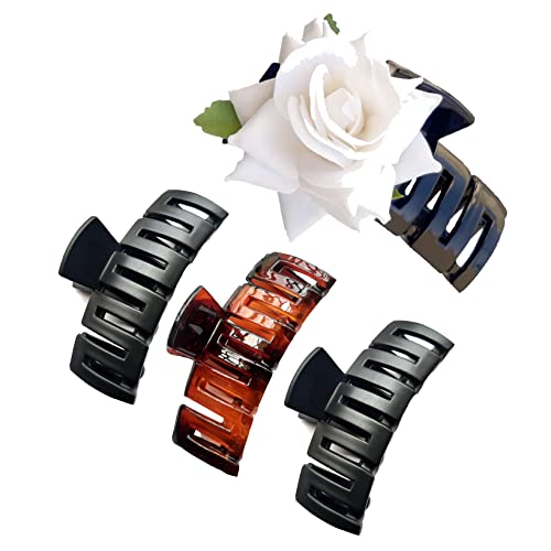 Black, Shell, White (Pack of 4)