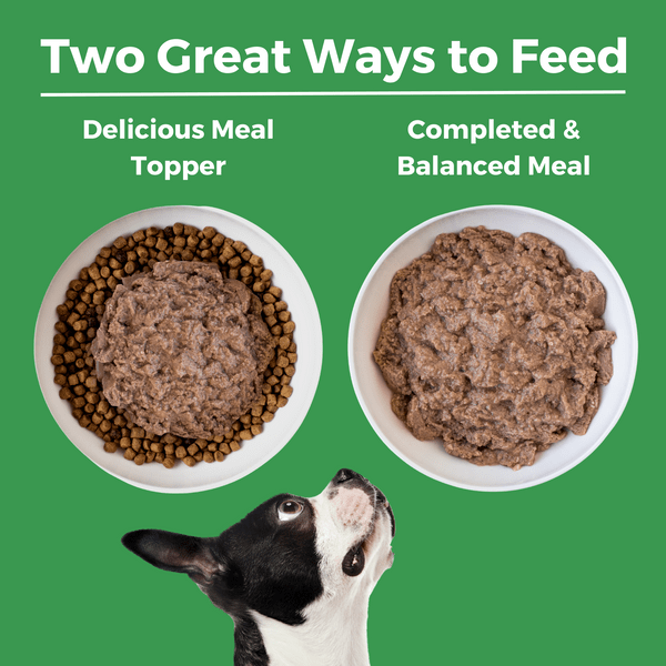 KOHA LID Turkey Entrée Canned Dog Food - Grain-Free, Limited Ingredient Diet for Sensitive Stomachs - Perfect for Dogs with Allergies or Digestive Issues