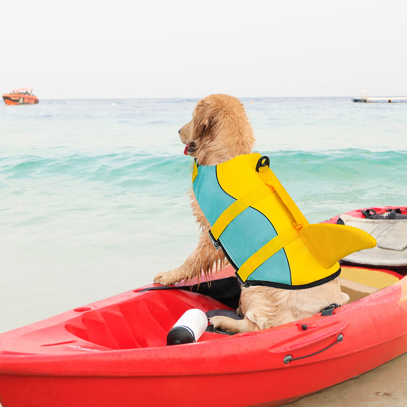 Malier Ripstop High Buoyancy Dog Life Vest - Shark Life Jacket for Swimming & Boating | High Visibility Puppy Lifesaver for Small, Medium & Large Dogs (X-Small) | Perfect for Beach, Pool & Water Sports Safety