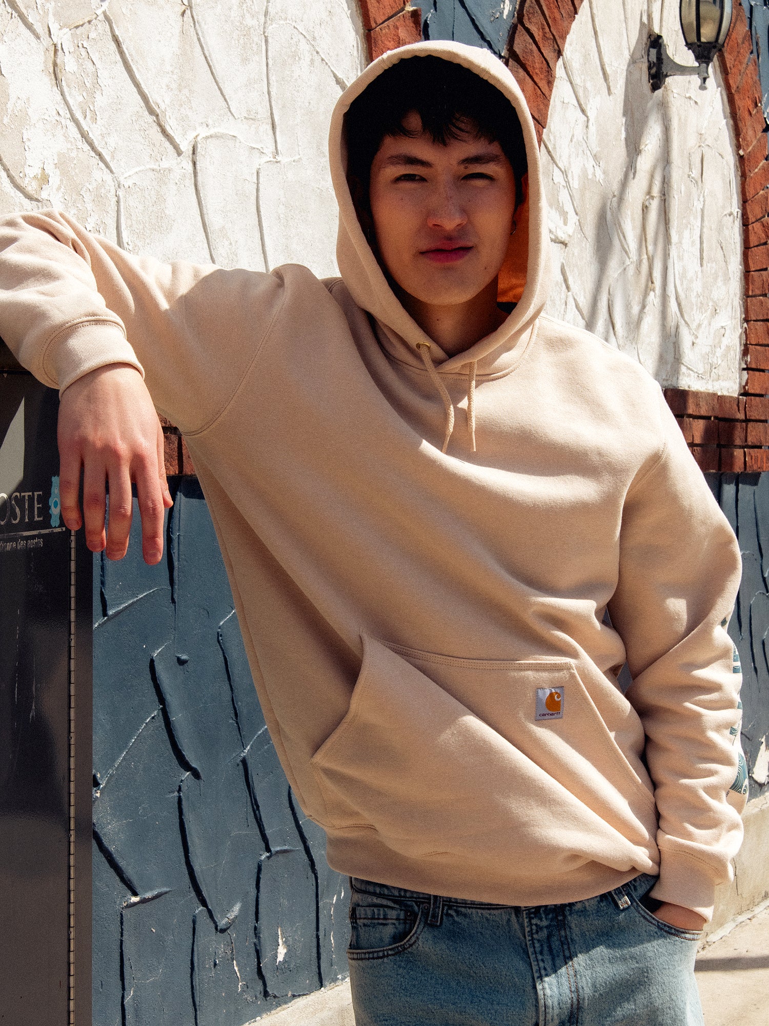 Carhartt Sleeve Pullover Hoodie for Men & Women - Comfortable & Durable Fleece Sweatshirt for Beach, Outdoor & Casual Wear