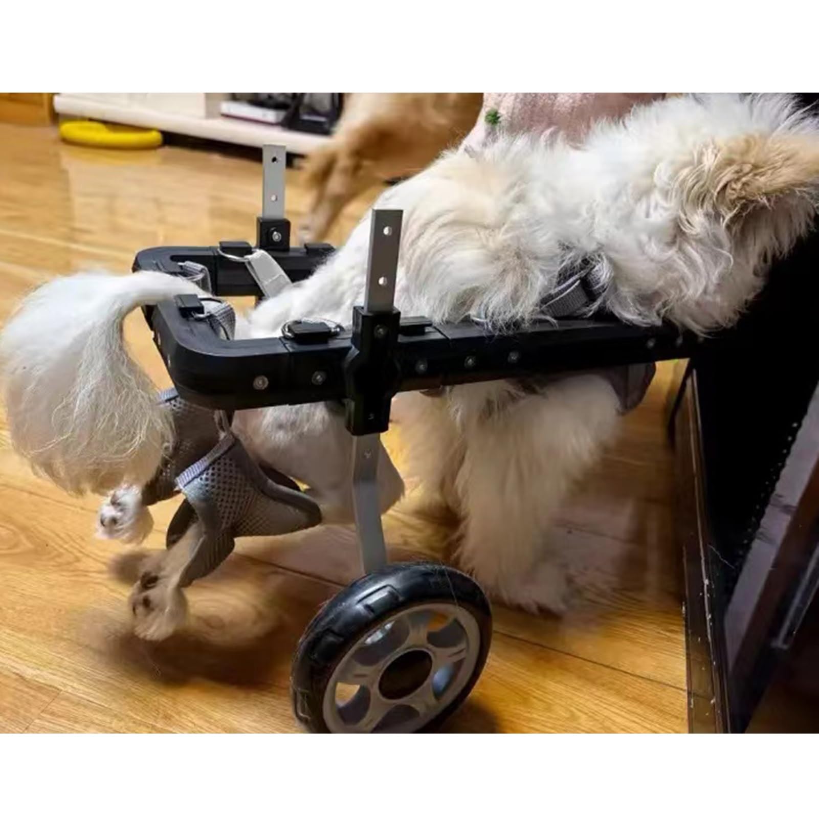 Adjustable Dog Wheelchair Cart for Disabled Pets - Small, Medium & Large Size Pet Mobility Scooter for Hind Leg Injuries | Perfect for Rehab, Outdoor Walks & Daily Support (Large)
