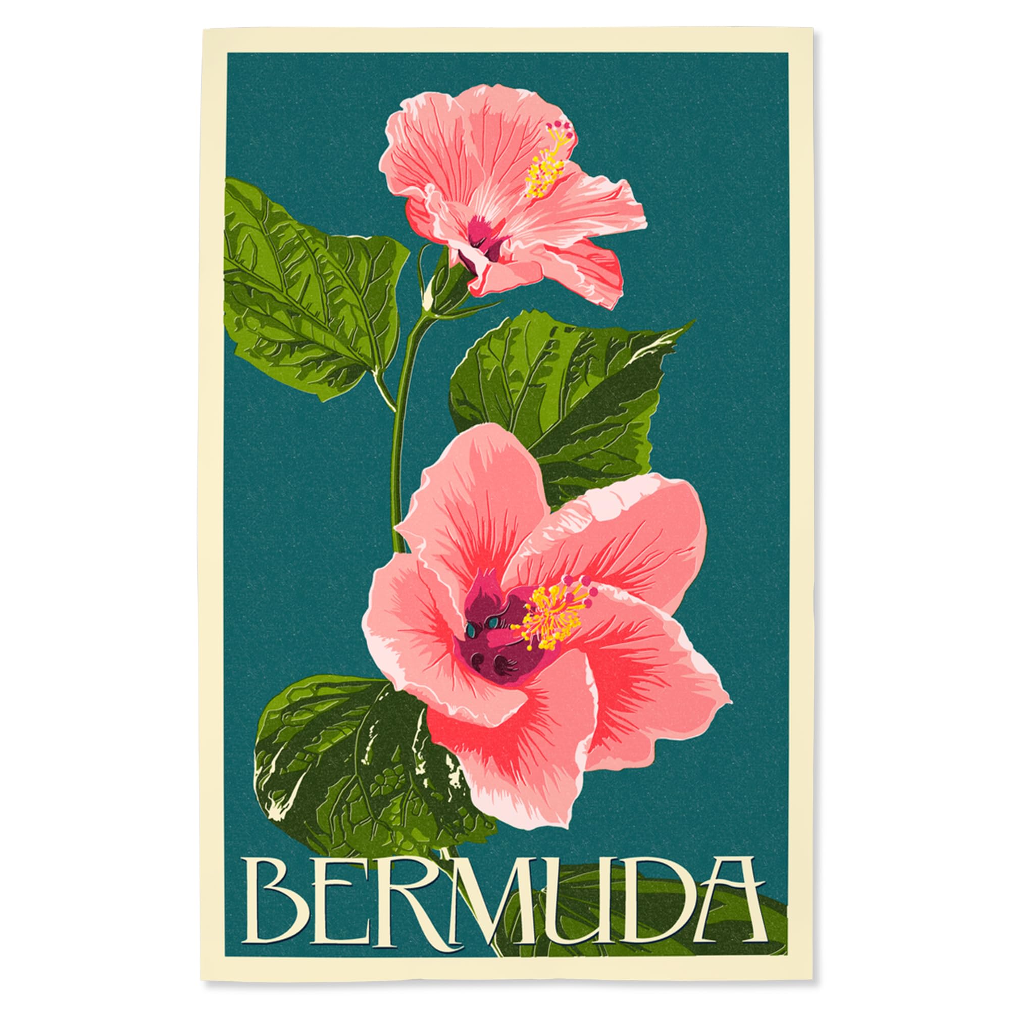 Lantern Press 16x24 Inch Giclee Art Print - Bermuda Pink Hibiscus Floral Wall Decor | Perfect for Living Room, Bedroom & Office