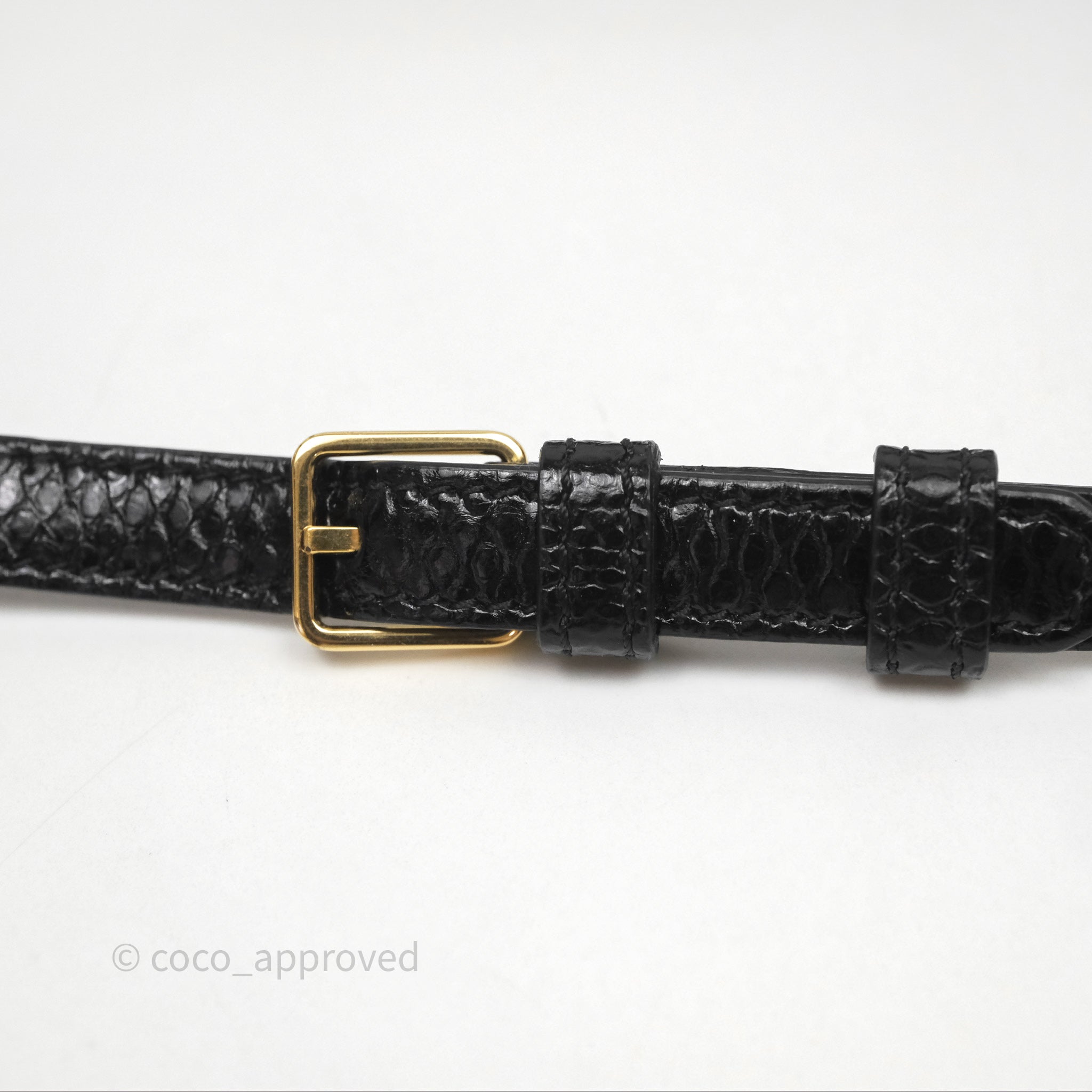 Celine Lizard Small Pampille C Bag in Black with Gold Hardware - Luxury Crossbody Bag for Women, Perfect for Evening Events & Date Nights