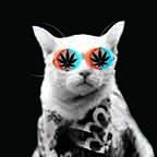 Stoner Cat