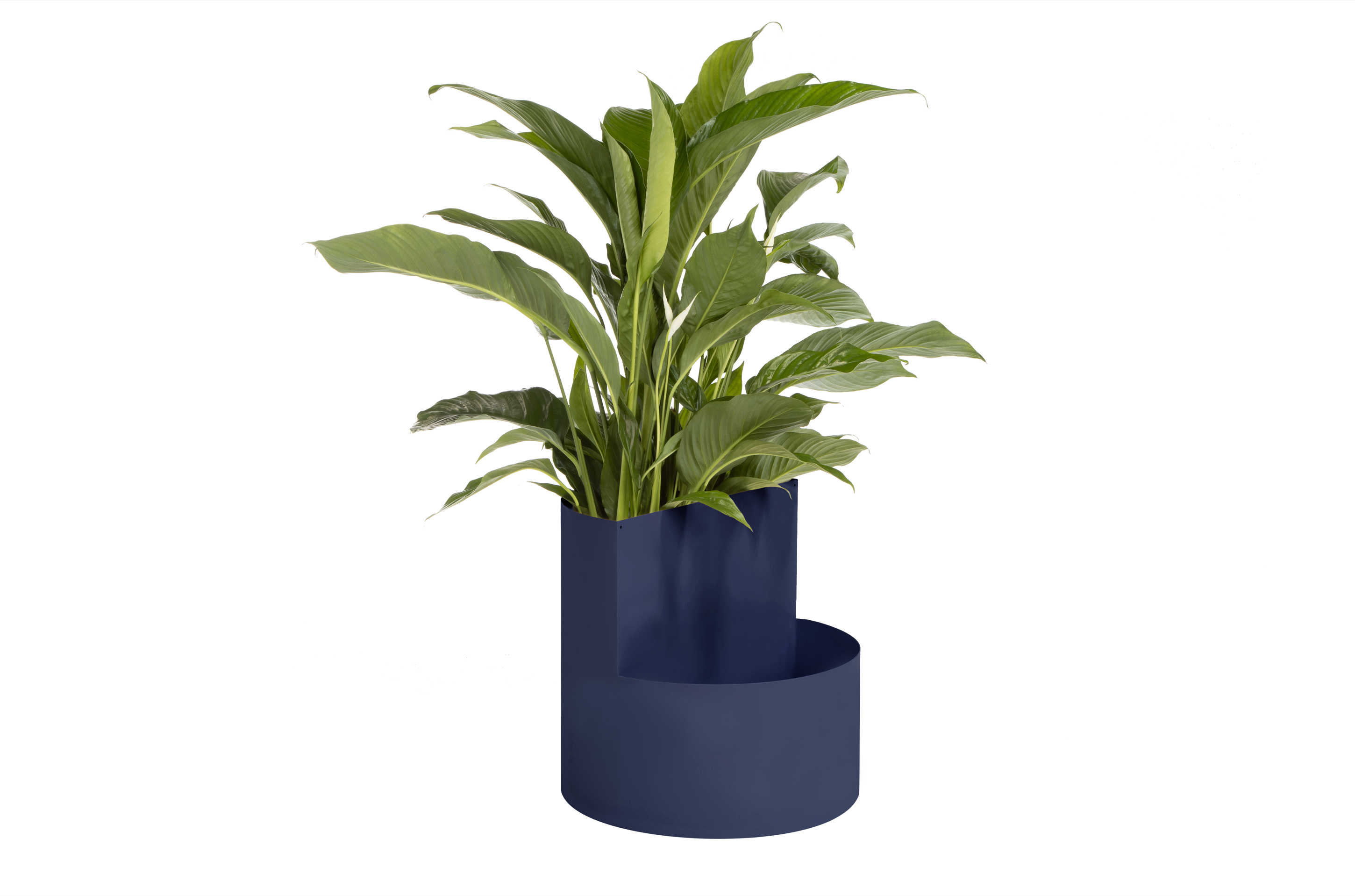 Blue Owal Plant Pot - Modern Decorative Flower Pot for Indoor & Outdoor Plants, Succulents, Herbs - Perfect for Home, Office, Garden Decor