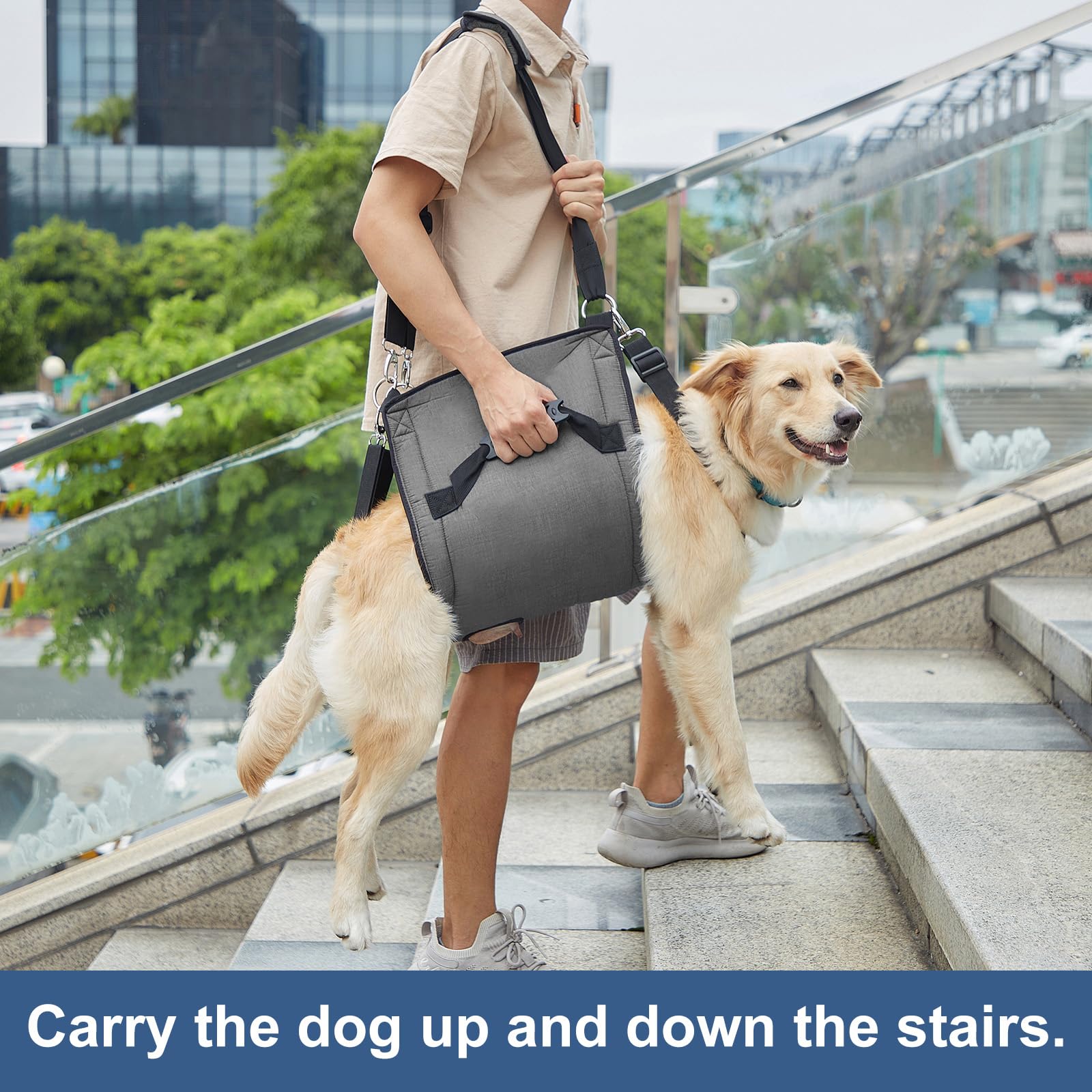 COODEO Dog Lift Harness - Adjustable Pet Sling Carrier for Senior Dogs with Joint Pain, Arthritis & Injuries - Emergency Support for Nail Trimming, Stairs & Rehabilitation (2XL, Black) - Perfect for Elderly Pets, Post-Surgery Care & Mobility Assistance