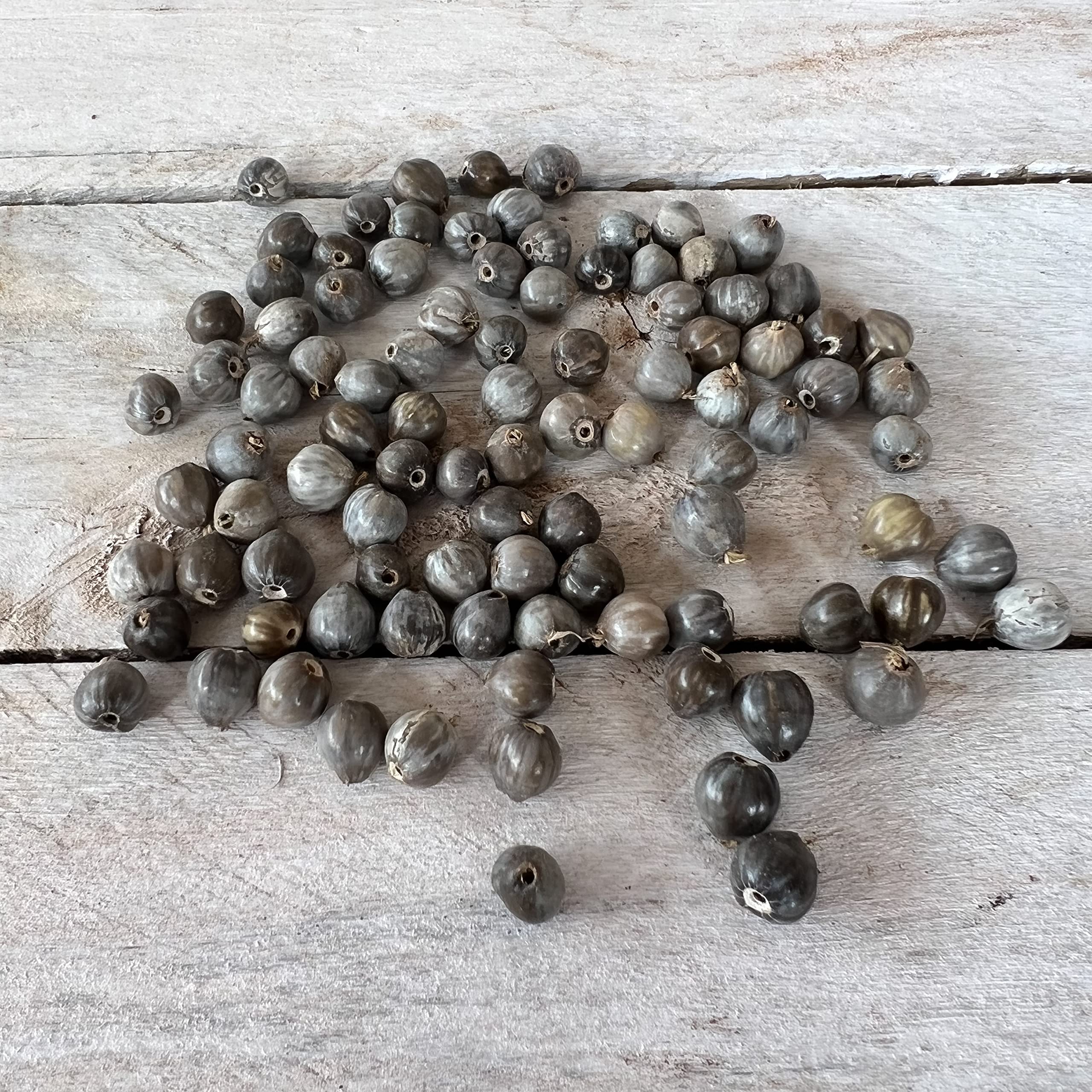 Job's Tears Seeds Beads for Rosary Making - 300 Natural Catholic Prayer Beads for DIY Jewelry & Religious Crafts | Perfect for Rosaries, Necklaces, Bracelets & Spiritual Gifts