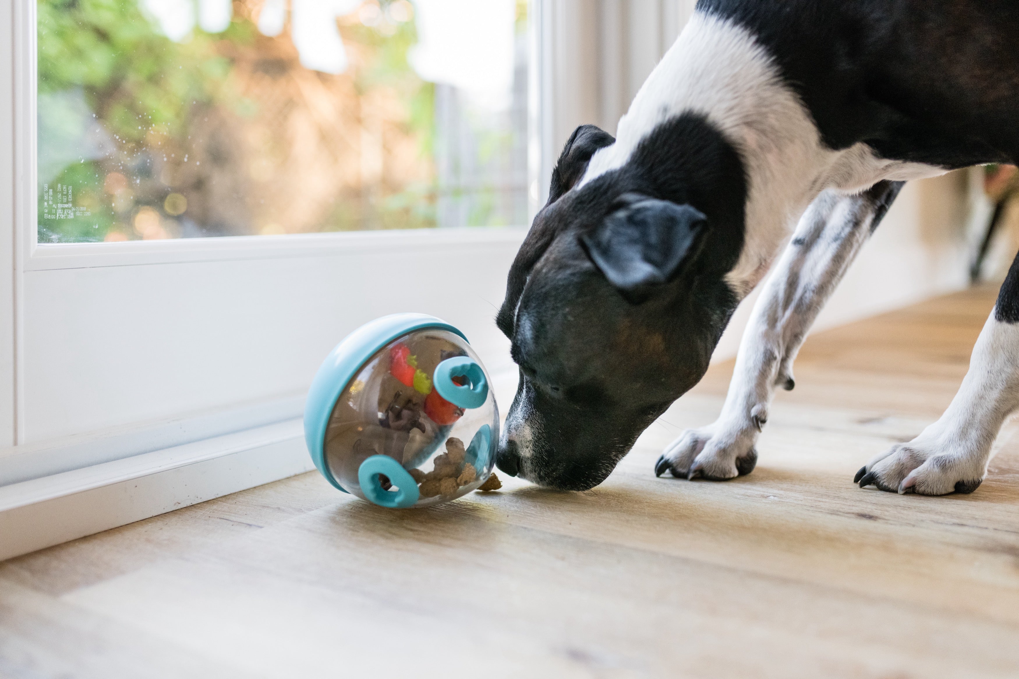 Wobble Ball Interactive Dog Treat Dispenser Toy - Blue | Pet P.L.A.Y. - Fun Puzzle Feeder for Small & Medium Dogs, Perfect for Mealtime Enrichment & Mental Stimulation