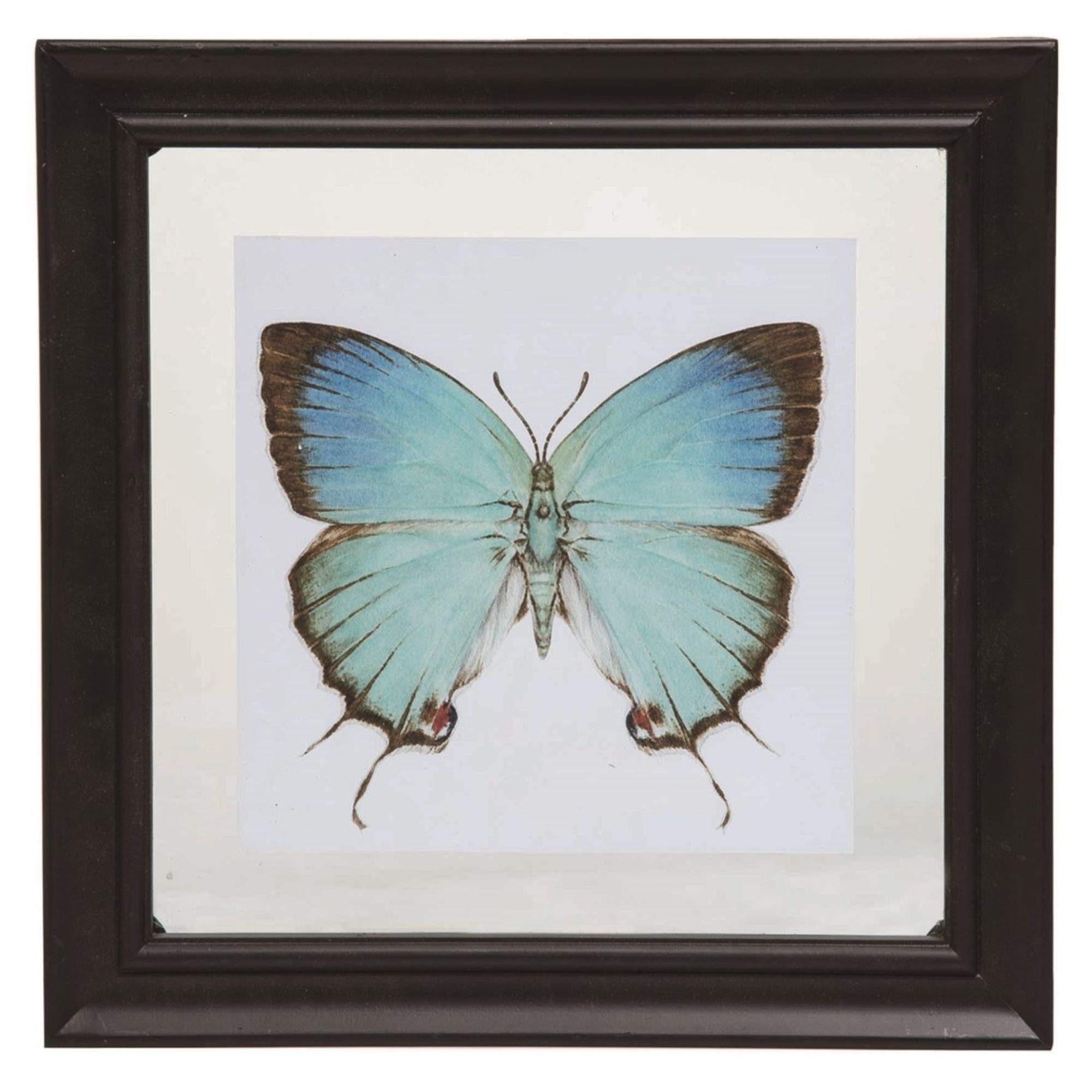 Blue and Brown Easter Butterfly Floating Framed Wall Art - 11