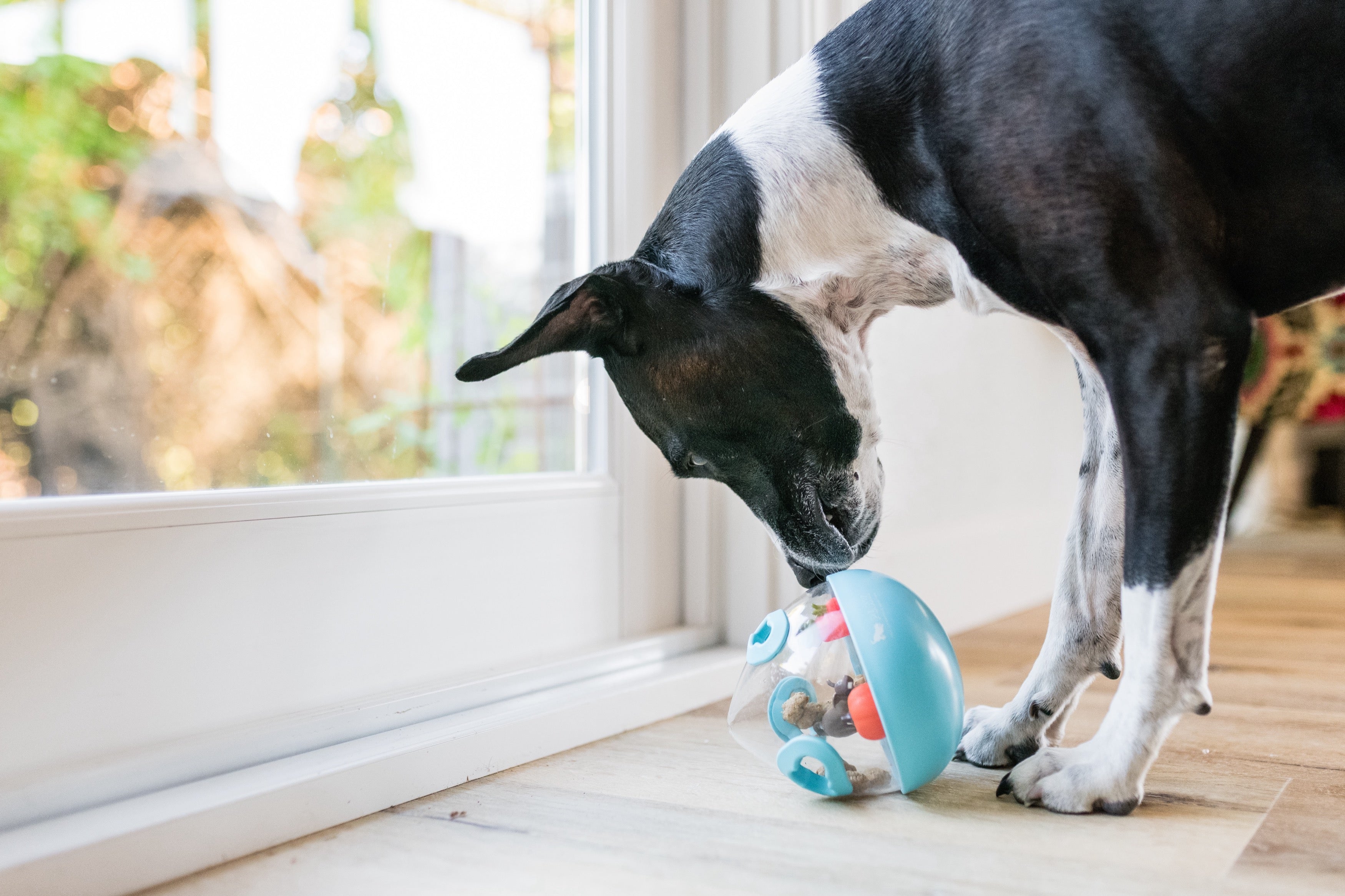 Wobble Ball Interactive Dog Treat Dispenser Toy - Blue | Pet P.L.A.Y. - Fun Puzzle Feeder for Small & Medium Dogs, Perfect for Mealtime Enrichment & Mental Stimulation