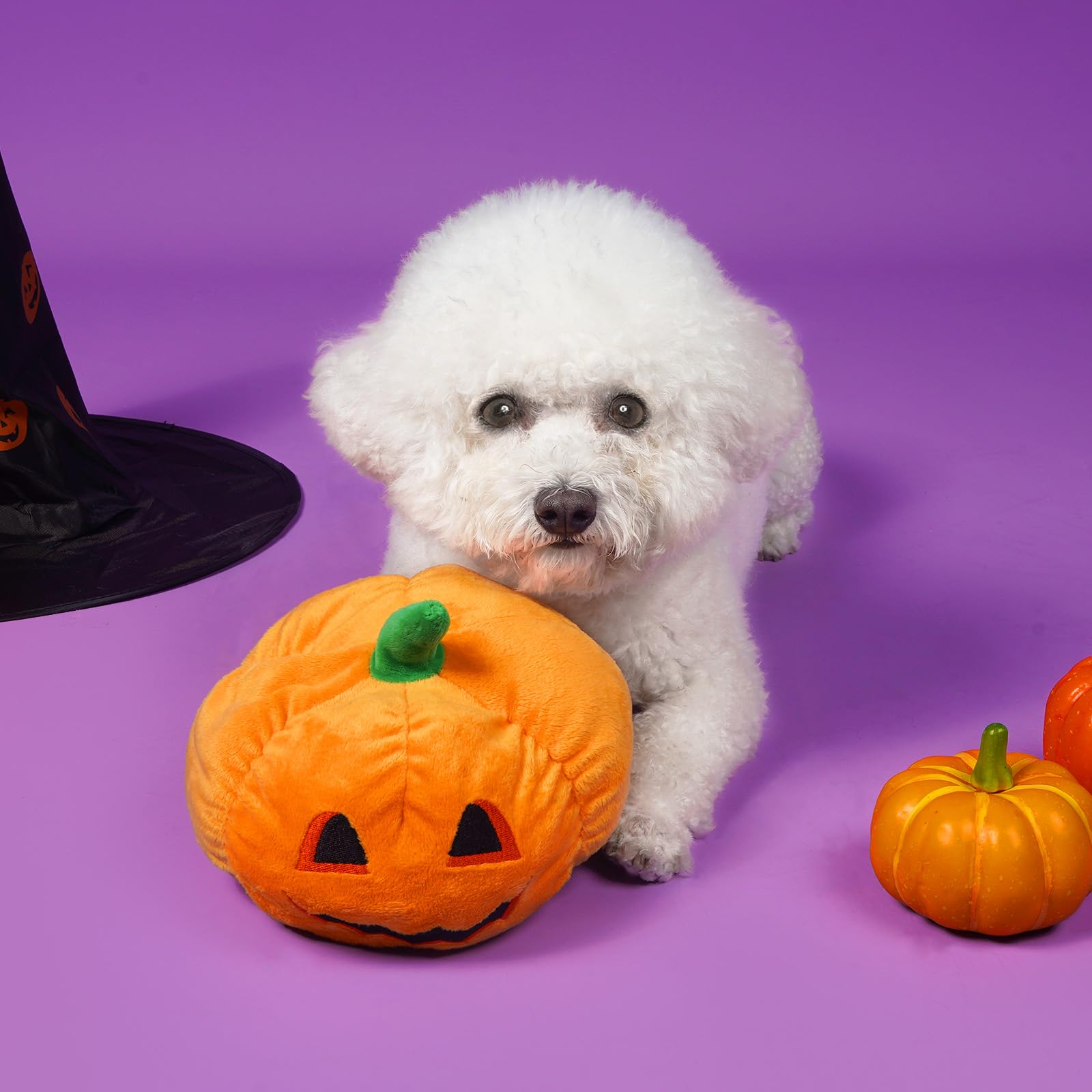 Halloween Hide and Seek Squeaky Dog Toys - Interactive Puzzle Toys for Small & Medium Dogs - Relieves Boredom & Stimulates Mind - Perfect for Indoor Play, Training & Enrichment Activities