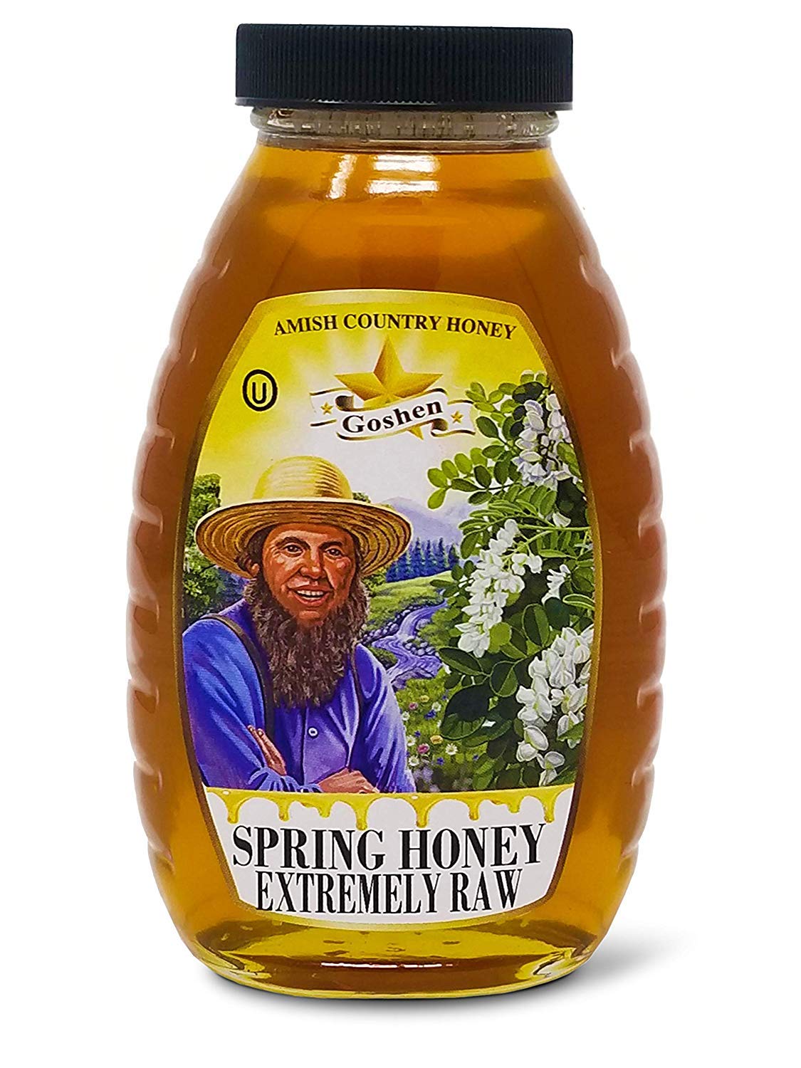 Amish Country Raw Spring Blossom Honey 100% Pure, Unfiltered & Natural - Perfect for Tea, Baking & Healthy Breakfast | 16oz Glass Jar