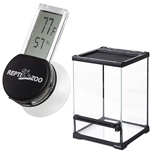 REPTI ZOO 8