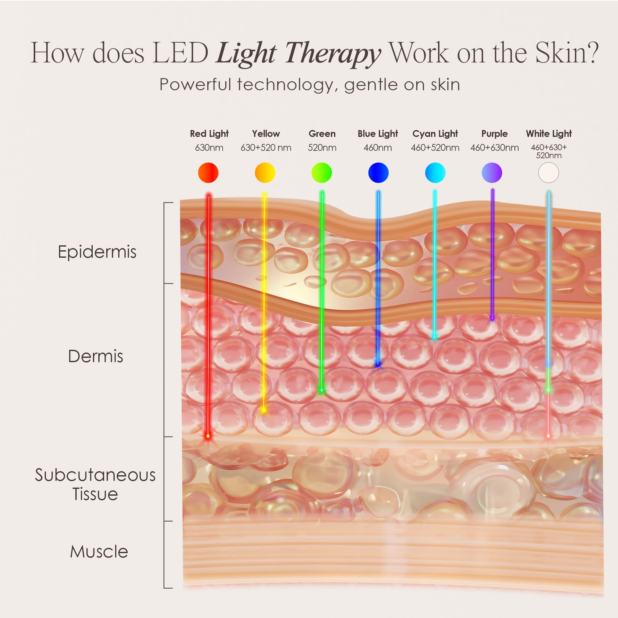 Project E Beauty LightAura Plus LED Light Therapy Mask - 7 Color LED Face & Neck Mask for Skin Rejuvenation, Anti-Aging & Wrinkle Reduction | Anti-Inflammatory & Brightening Skincare Treatment | Perfect for At-Home Spa Days & Post-Procedure Recovery