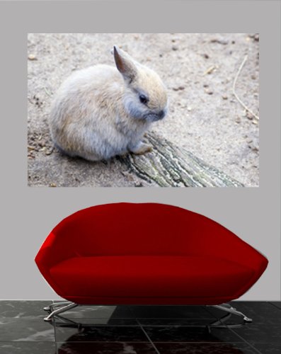 Adorable Baby Bunny Wall Decal Stickers - Cute Nursery Room Decor for Kids & Baby Shower Gifts - Perfect for Bedroom, Playroom & Nursery Wall Art