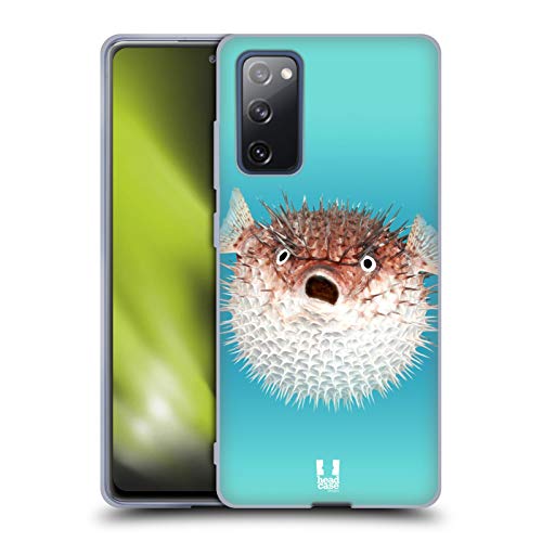 Frontal View Of Porcupinefish