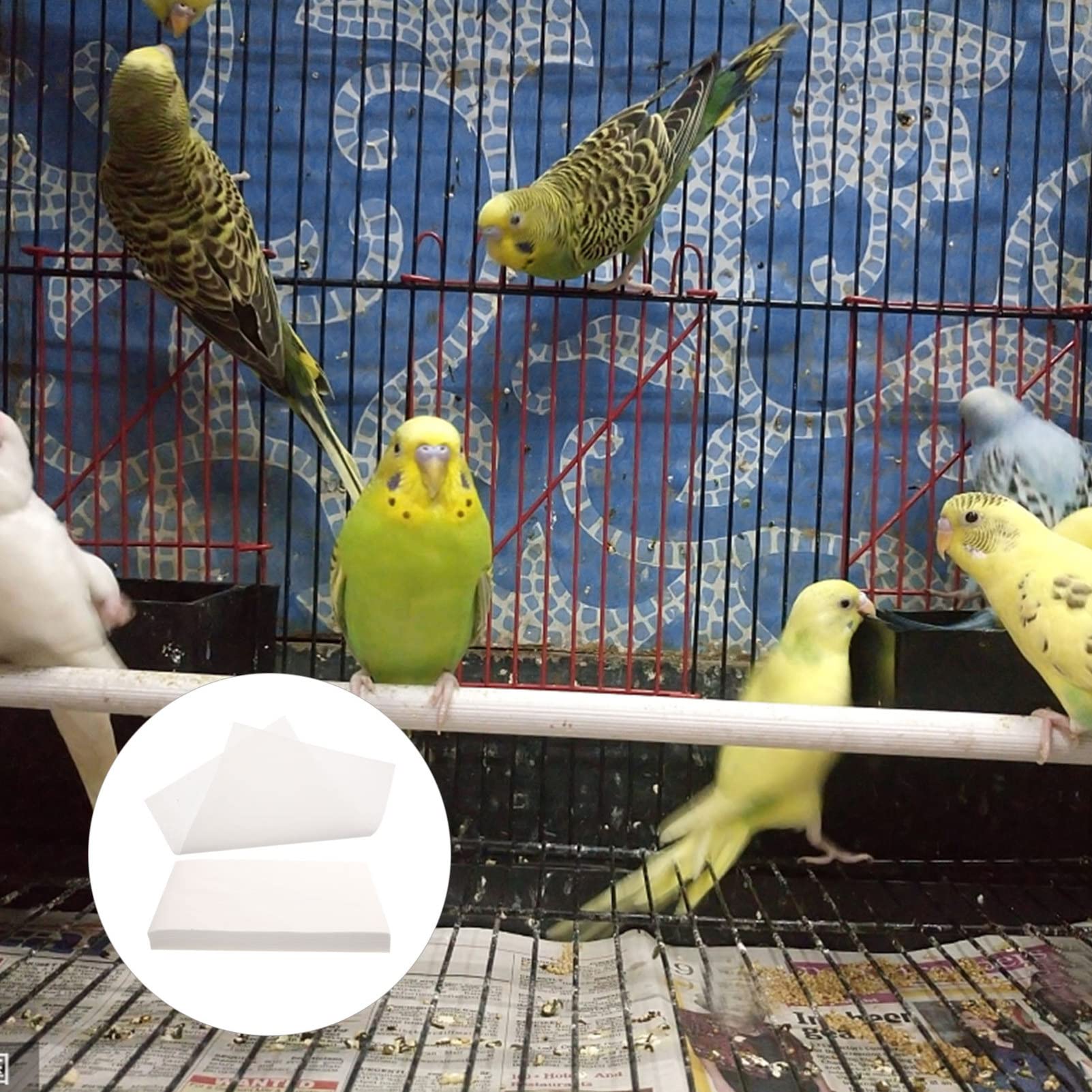DOITOOL 100-Pack White Non-Woven Cage Liners - Absorbent Pet Bedding for Guinea Pigs, Rabbits, Birds & Small Animals | Cage Liner for Parakeets, Parrots | Water-Absorbing Cage Mat for Easy Cleanup & Odor Control | Perfect for Daily Use in Small Animal Cages & Aviaries