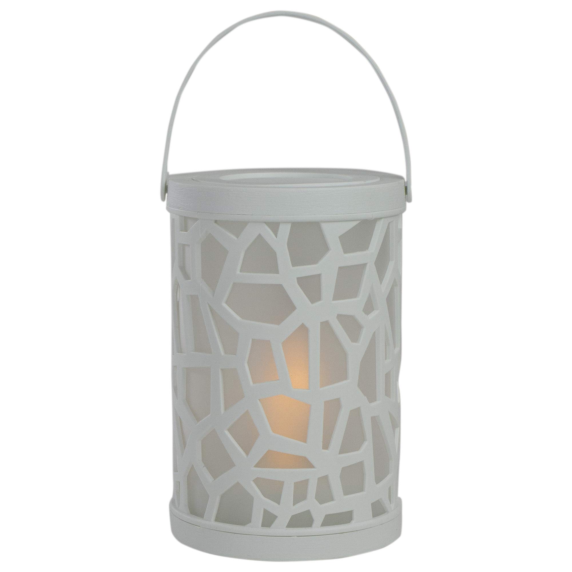 Northlight 6.5