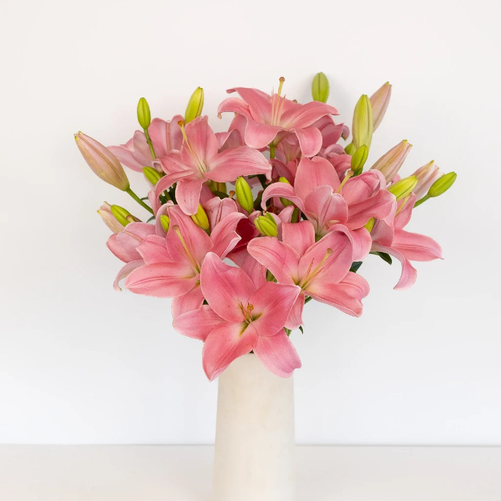 Antique Pink Hybrid Lily Bulbs - Fragrant Perennial Flowers for Garden, Bouquets & Wedding Decorations