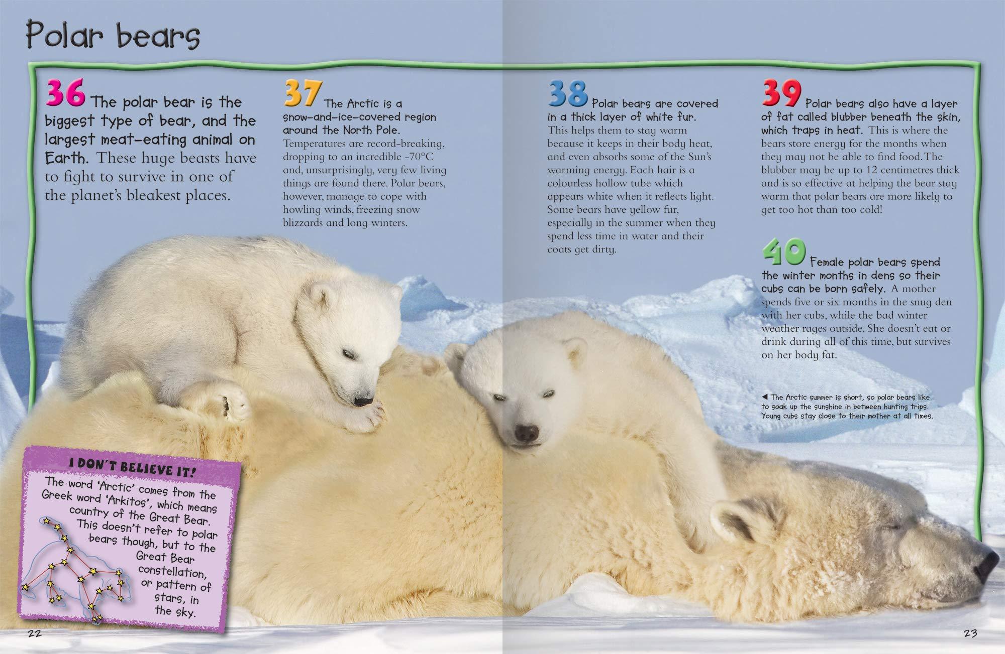 100 Fascinating Facts About Bears - Fun & Educational Wildlife Book for Kids & Adults - Perfect for Learning, Gifts & Nature Enthusiasts