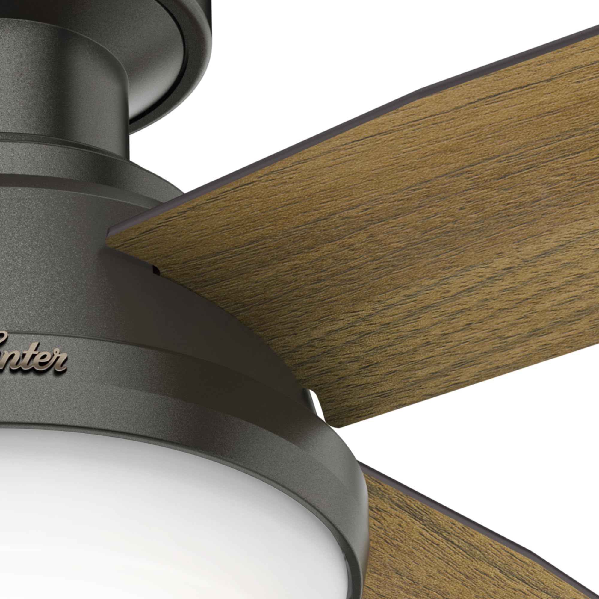 Hunter 59445 Dempsey 44-inch Ceiling Fan with Light Kit in Noble Bronze Finish - Perfect for Living Room, Bedroom, and Indoor Spaces
