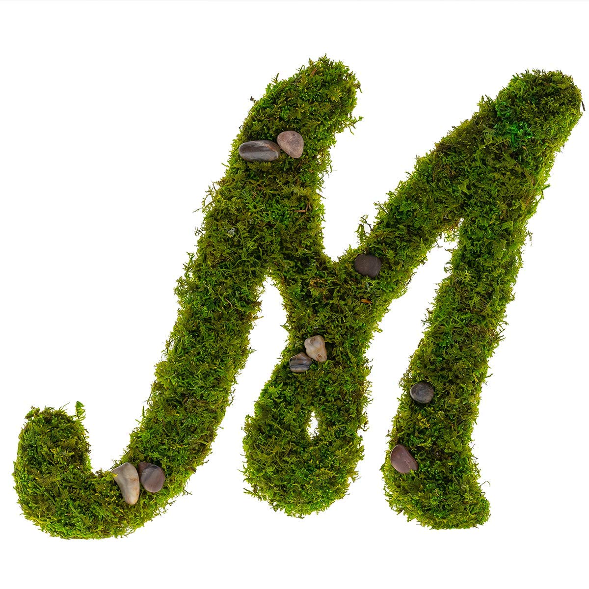 Custom Preserved Moss Monogram Initial Wall Art - Personalized Home Decor for Living Room, Bedroom & Office | Eco-Friendly Greenery Letter Design