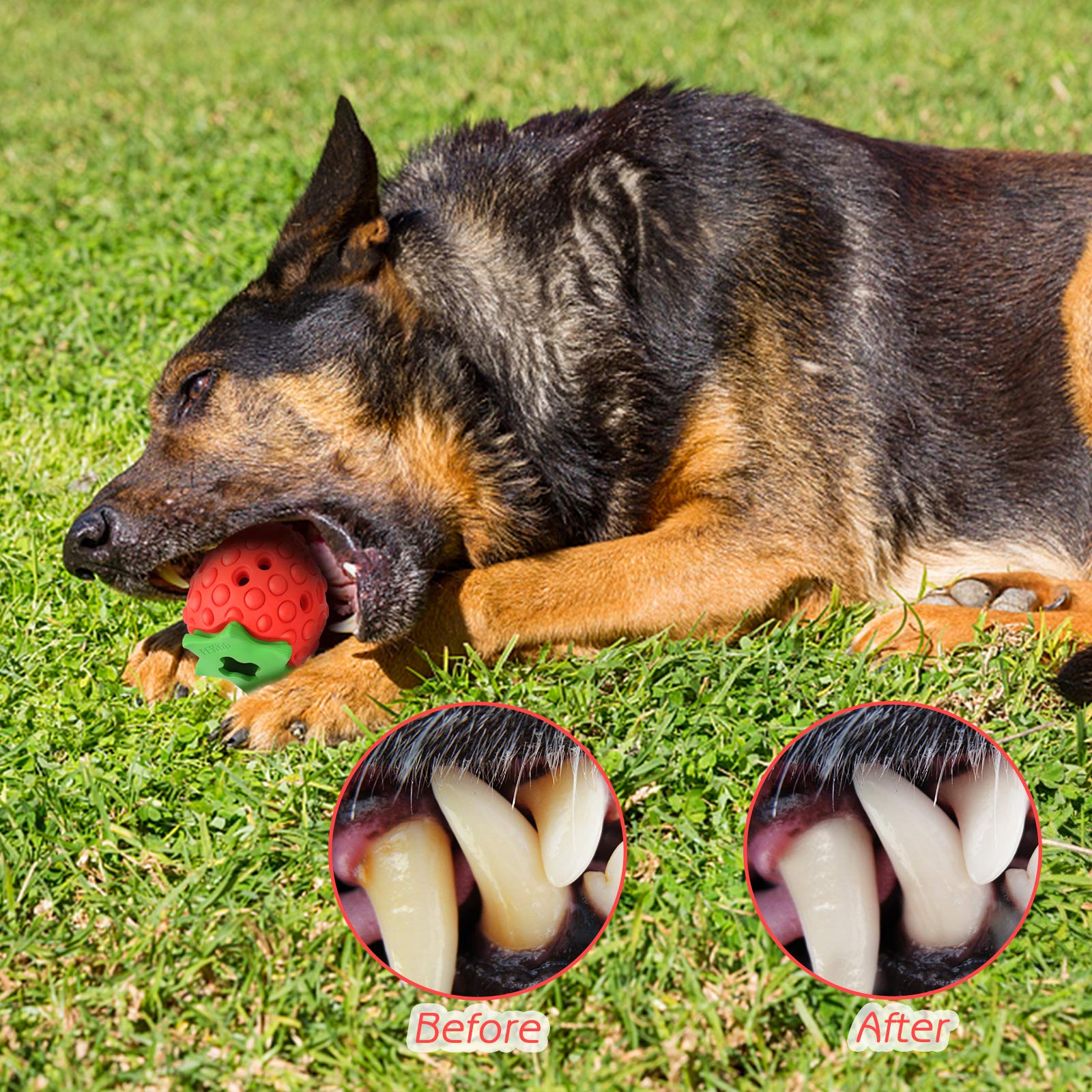 **Durable Strawberry Dog Chew Toys for Puppies & Small Dogs – Teething, Treat Dispensing, Indestructible Chew Toy – Perfect for Training, Boredom Relief & Dental Health**