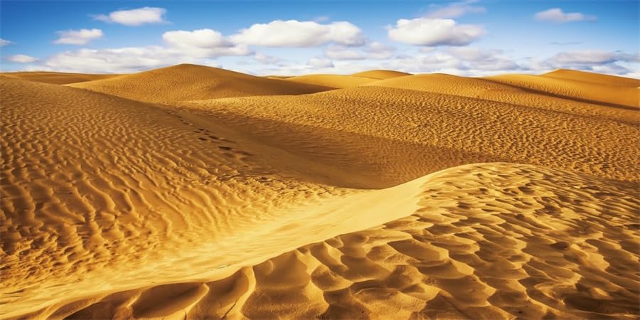 Premium 48x24 Inch Reptile Terrarium Background - Sand Dunes Desert & Blue Sky Tropical Scenery Backdrop for Bearded Dragons, Fish Tanks & Aquariums | Enhance Reptile Habitat Decor for Desert & Tropical Environments