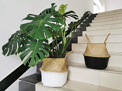 DOKOT Natural Woven Seagrass Belly Basket with Handles - 8