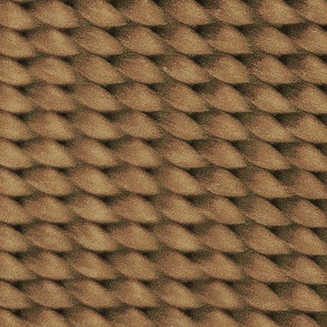 Coyote Tan