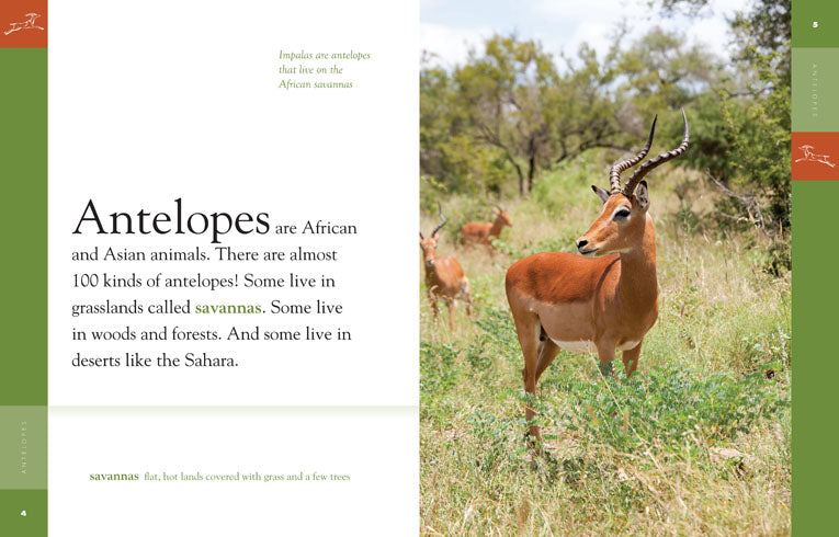 Amazing Animals (2014): Antelopes - Wildlife Documentary DVD | Nature & Animal Lovers Gift | Perfect for Home Education & Classroom Learning