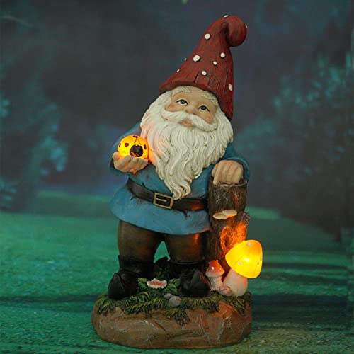 Gnome With Ladybug