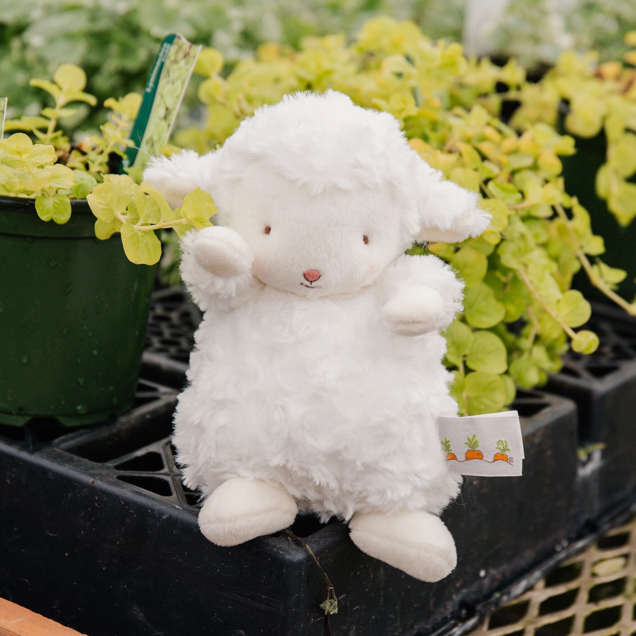 Wee Kiddo the Lamb Plush Toy - Soft White Stuffed Animal for Kids | Perfect for Nursery Decor, Baby Shower Gifts & Cuddling