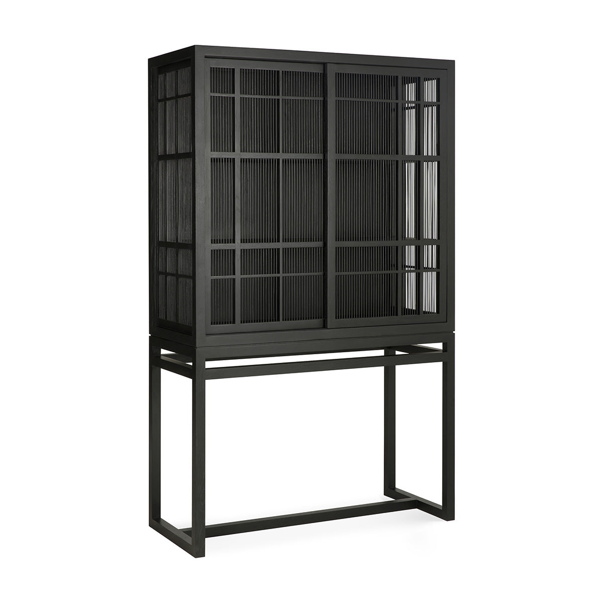 2 Door Oak Black Cupboard - Stylish Storage Cabinet for Bedroom, Living Room, or Office Organization