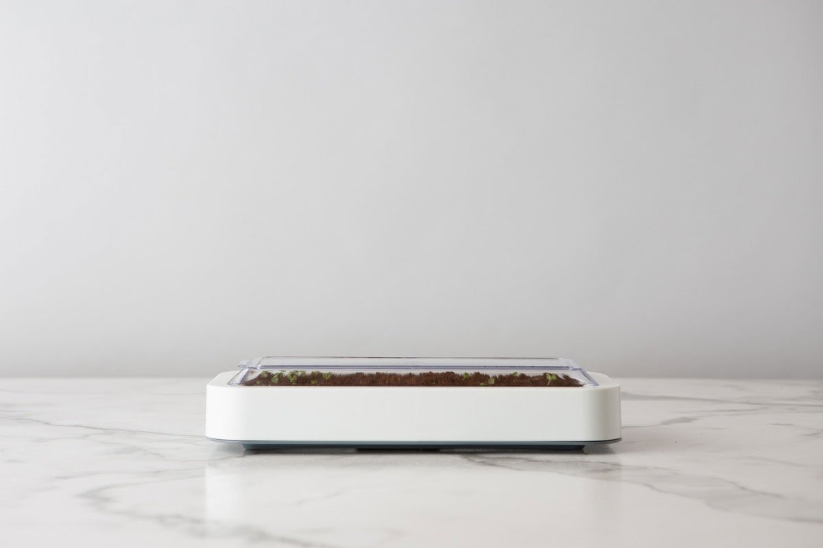 Chef'n Microgreens Indoor Herb Garden Kit - White | Fresh Greens Growing System for Kitchen, Salad & Healthy Cooking | Perfect for Windowsill, Countertop & Small Space Gardening