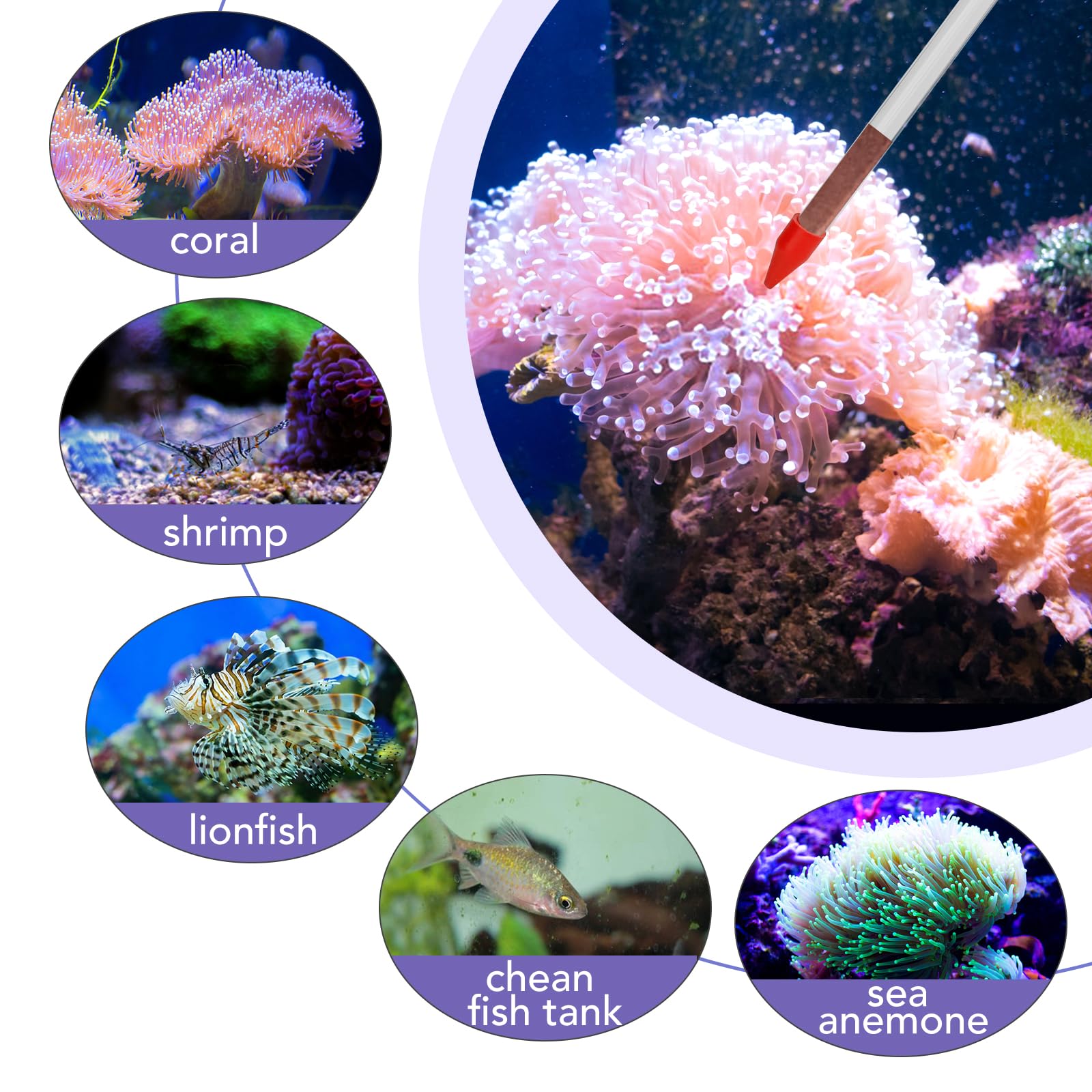 Hygger Aquarium Siphon Cleaner Kit - Gravel Vacuum & Water Changer for Small Fish Tanks - Perfect for Tank Maintenance