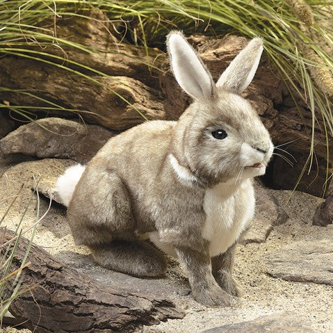 Folkmanis Realistic Cottontail Rabbit Hand Puppet - Soft Plush Animal Toy for Kids, Storytelling, and Educational Play - Perfect for Classroom, Theater, and Imaginative Play at Home