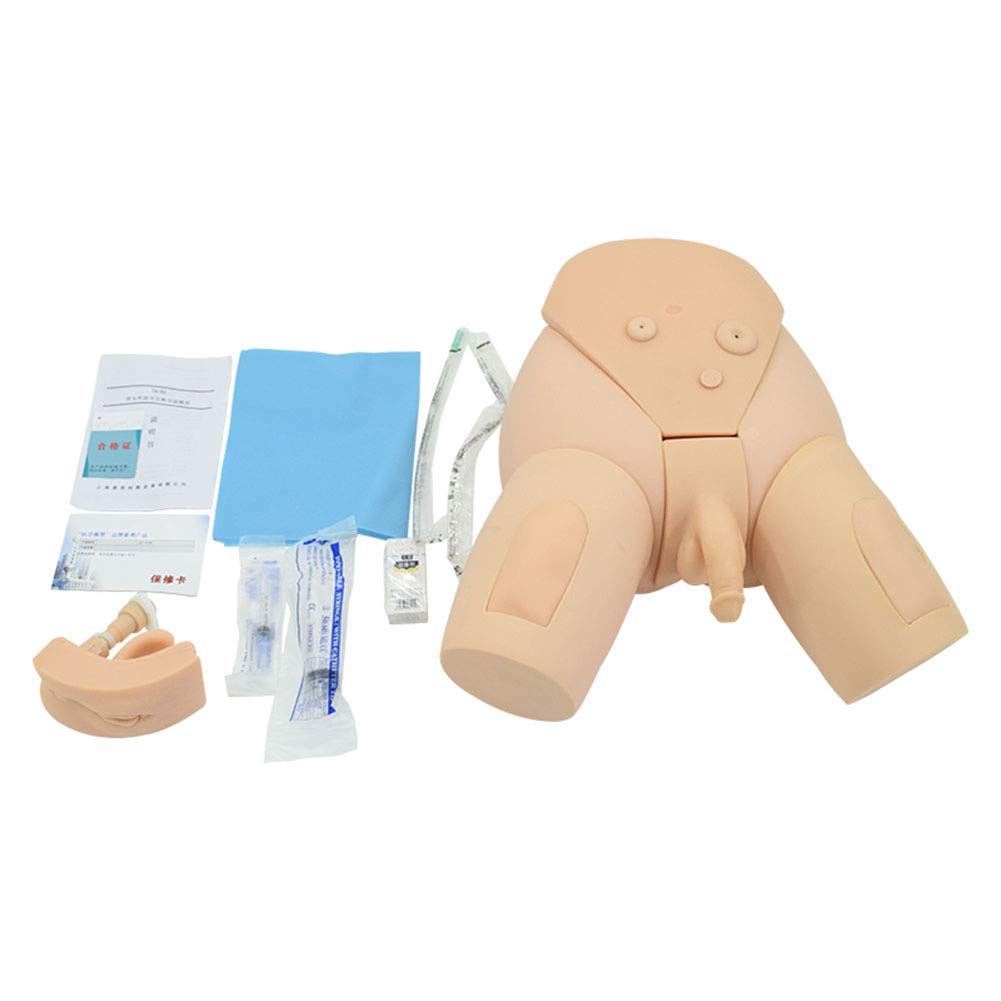 GHDE&MD H17EF Male and Female Urethral Catheterization Simulator Kit - Medical Training Model for Nursing Students & Healthcare Professionals - Practice Urinary Catheter Insertion Techniques for Clinical Skills Development